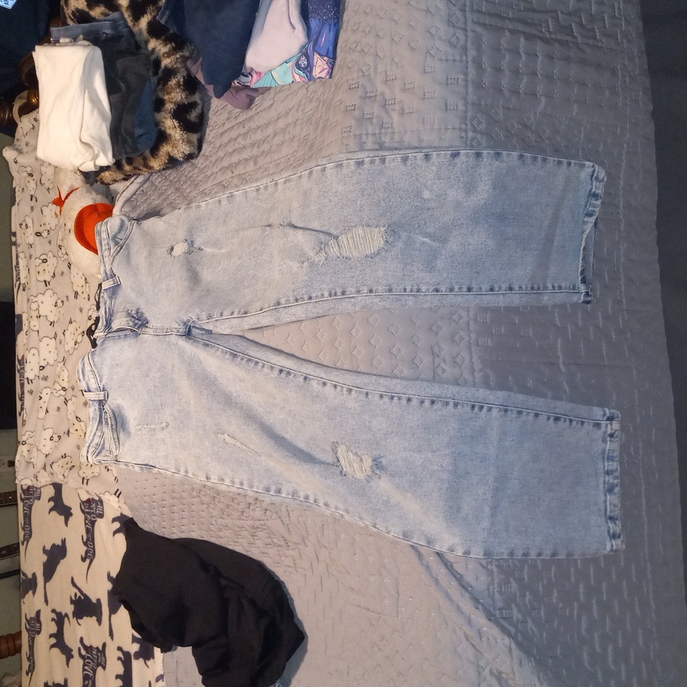 Kendall & Kylie The icon high rise straight